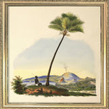 Palm and Man. Mini Print