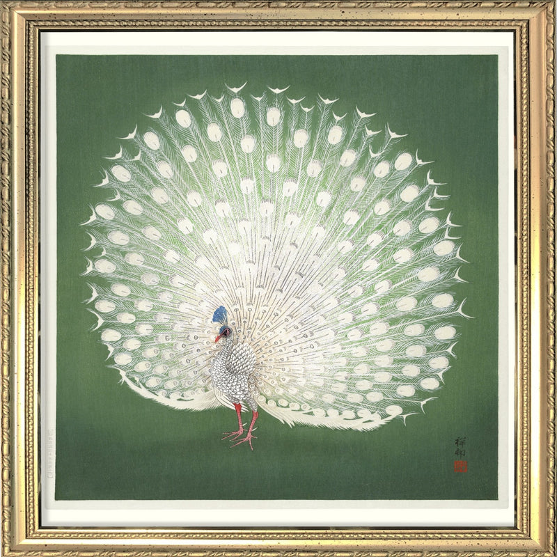 Peacock on Green. Mini Print