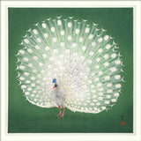 Peacock on Green. Mini Print
