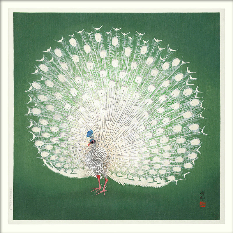 Peacock on Green. Mini Print