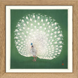 Peacock on Green. Mini Print