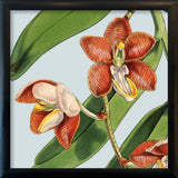 Orange flower. Mini Print