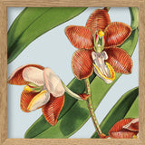 Orange flower. Mini Print