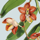 Orange flower. Mini Print