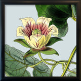 Yellow and pick flower. Mini Print