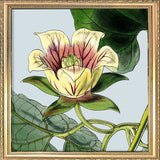 Yellow and pick flower. Mini Print