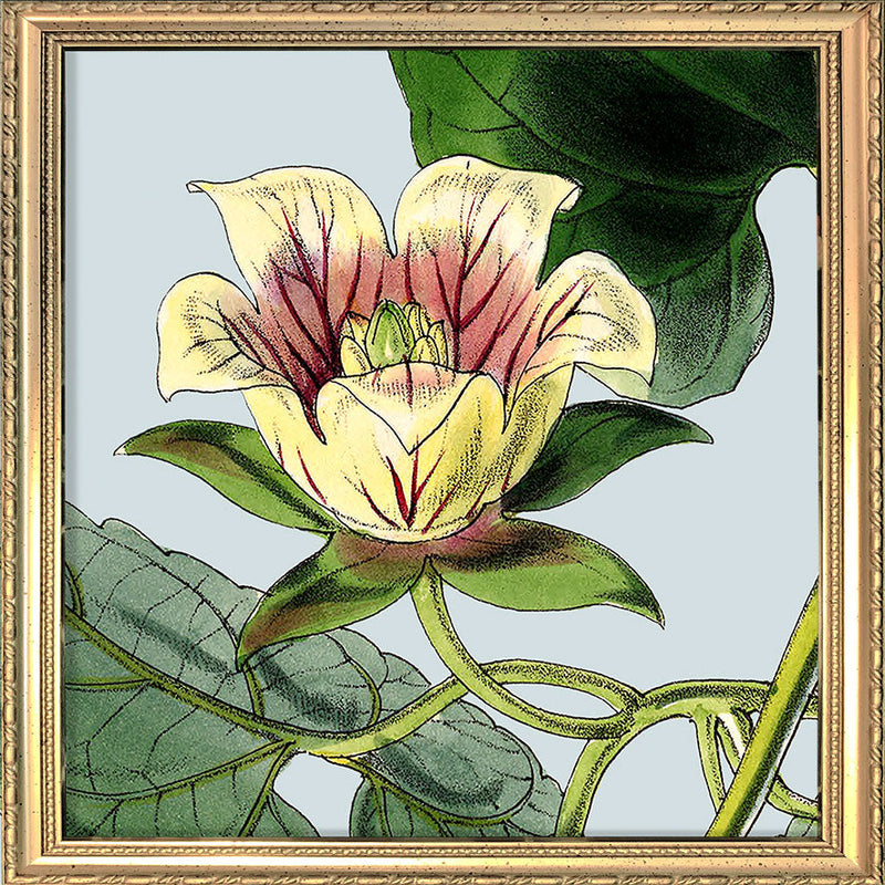 Yellow and pick flower. Mini Print