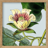 Yellow and pick flower. Mini Print