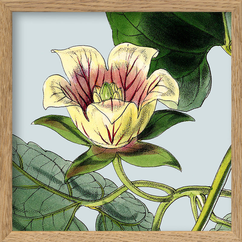 Yellow and pick flower. Mini Print