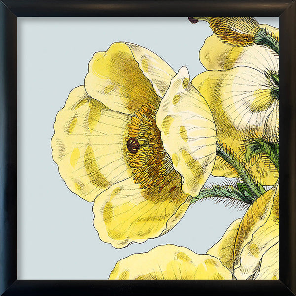 Yellow detail flower. Mini Print