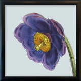 Purple flower. Mini Print