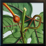 Detail of flower. Mini Print