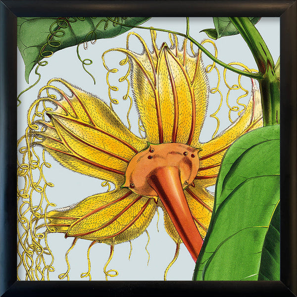 Yellow flower. Mini Print