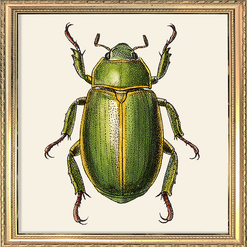 Green Insect. Mini Print