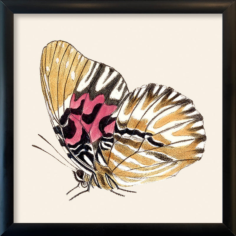 Yellow Butterfly. Mini Print