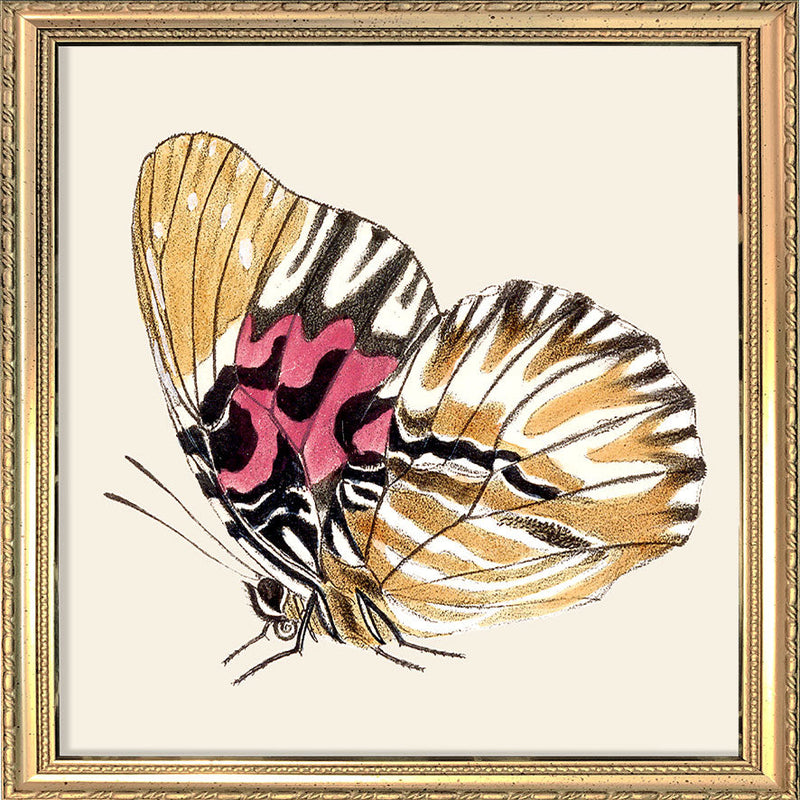 Yellow Butterfly. Mini Print