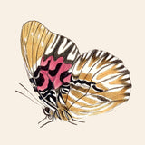 Yellow Butterfly. Mini Print