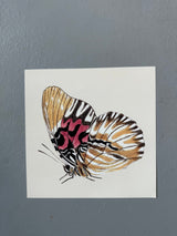Yellow Butterfly - Outlet