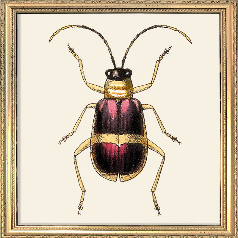 Purple and Gold Insect. Mini Print