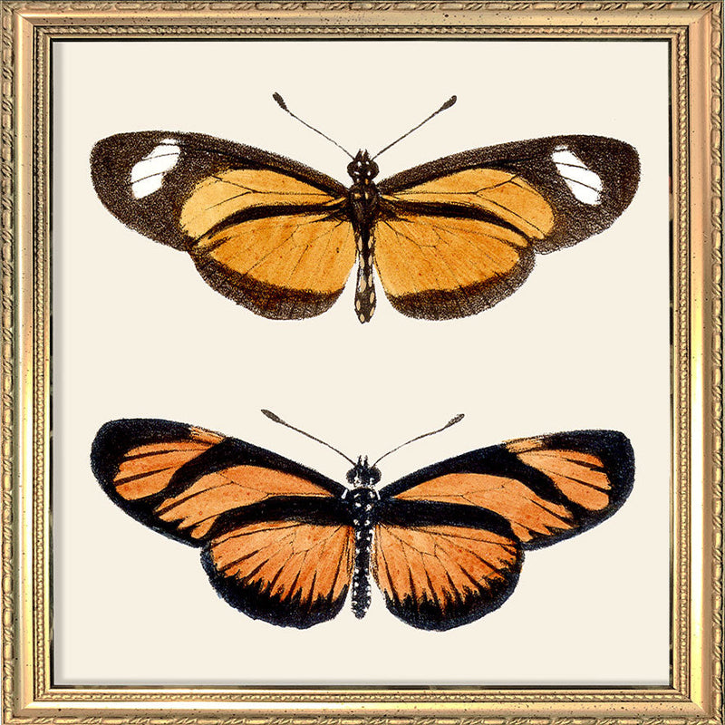 Orange Butterflies. Mini Print