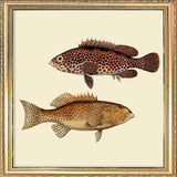 Two Fish. Mini Print