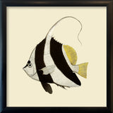 Black and White fish. Mini Print