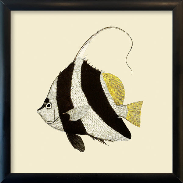 Black and White fish. Mini Print