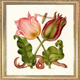 Worm and Tulips