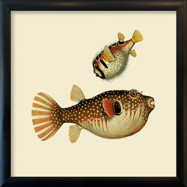 Two Fishes. Mini Print