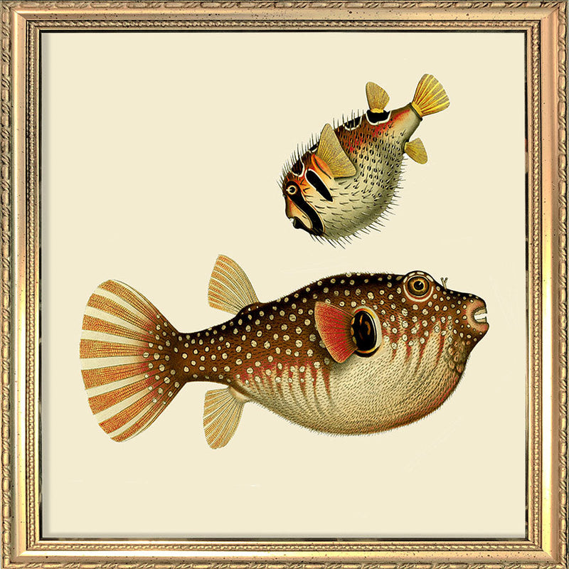 Two Fishes. Mini Print