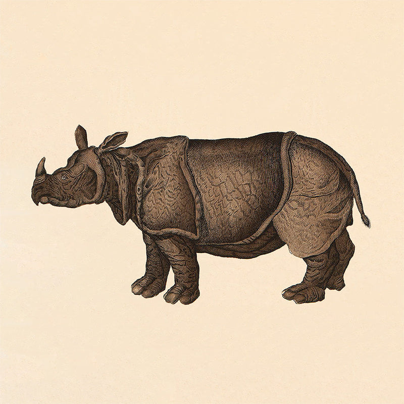 Rhino. Mini Print