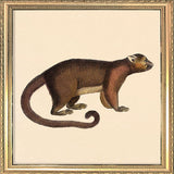 Brown Bear. Mini Print