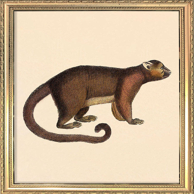 Brown Bear. Mini Print