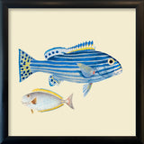 Blue striped fish and white fish. Mini Print