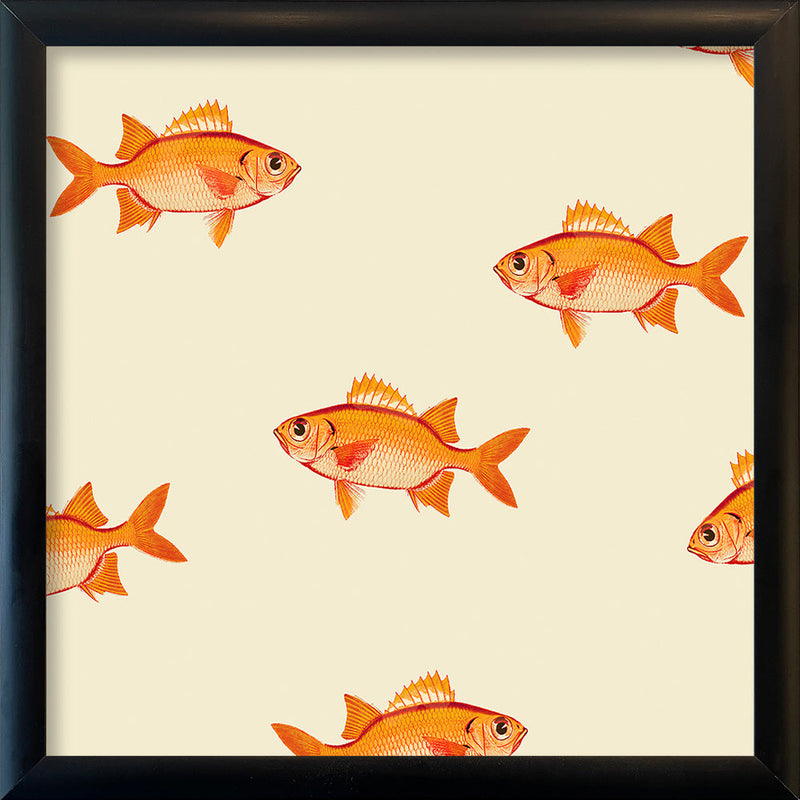 Small orange fish. Mini Print