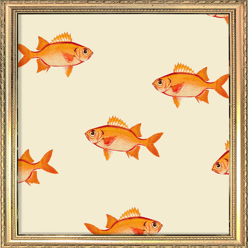 Small orange fish. Mini Print