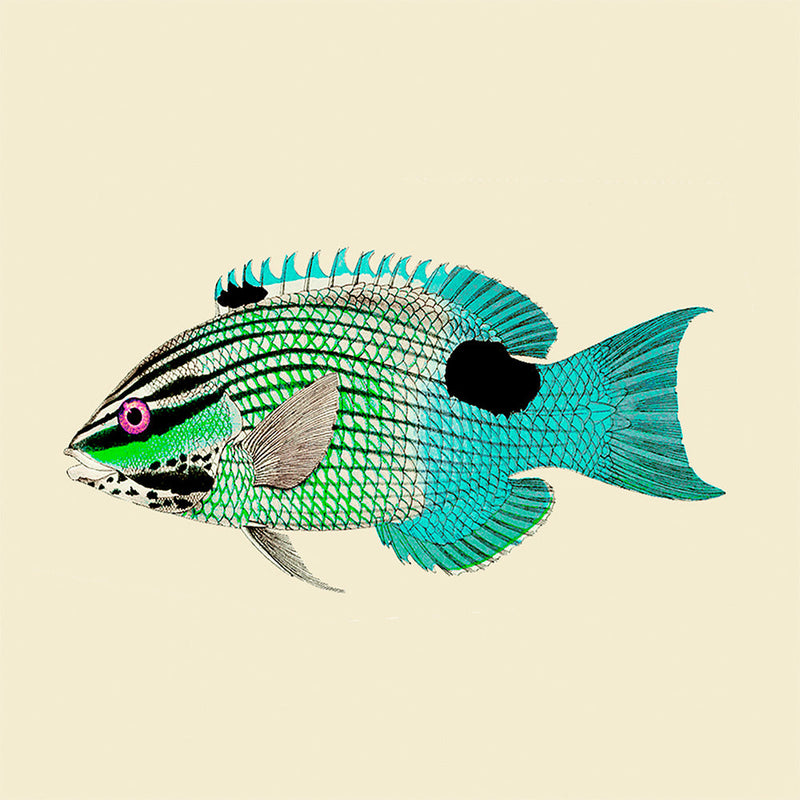 Turquoise and neon green fish. Mini Print