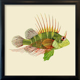 Green and red fish. Mini Print
