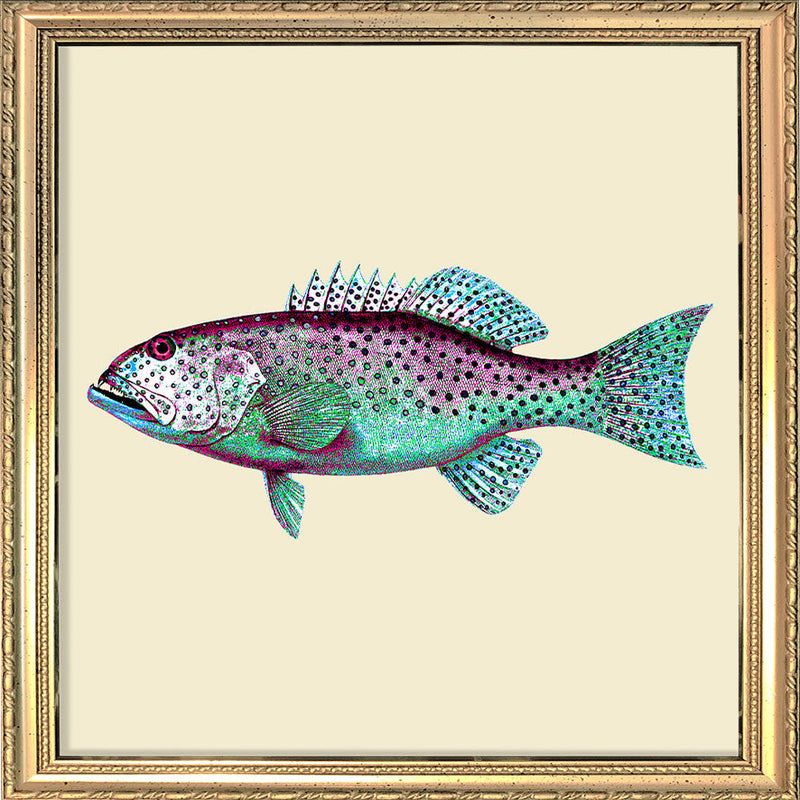 Turquoise and purple fish. Mini Print