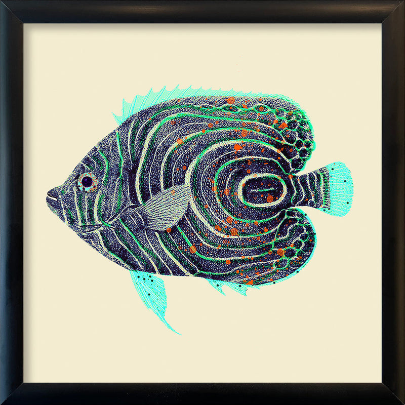 Blue and turquoise fish. Mini Print
