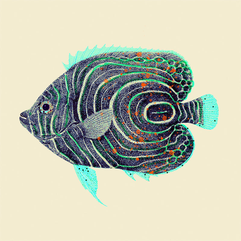 Blue and turquoise fish. Mini Print