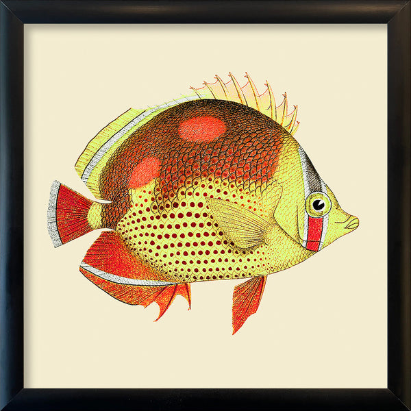 Red and yellow fish. Mini Print