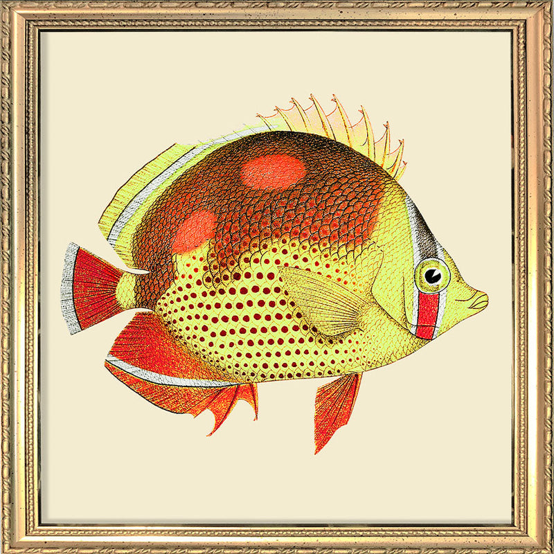 Red and yellow fish. Mini Print