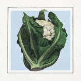 Brocoli. Mini Print