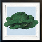 Cabbage. Mini Print