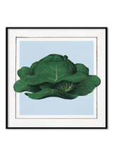 Cabbage. Mini Print