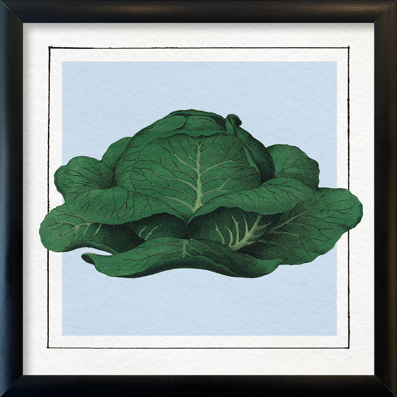 Cabbage. Mini Print