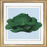 Cabbage. Mini Print