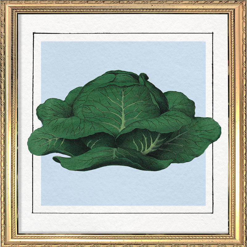 Cabbage. Mini Print