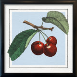 Cherries. Mini Print
